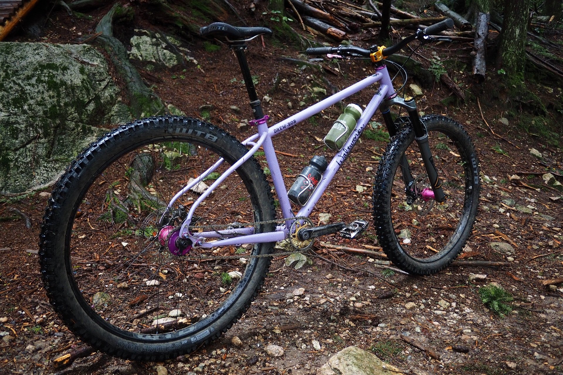 Personal Rides: Andrew's Custom Waltworks V2