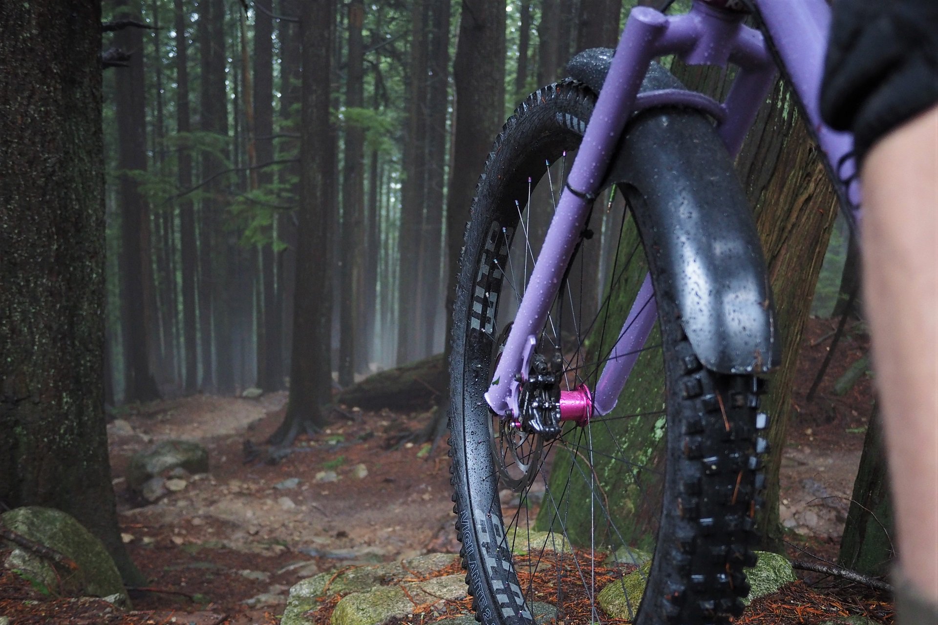 Drop In Mountain Bike Pants Black Camo  Moxie Cycling: Bike Jerseys, Bike  Shorts & Bike Pants Made for Women
