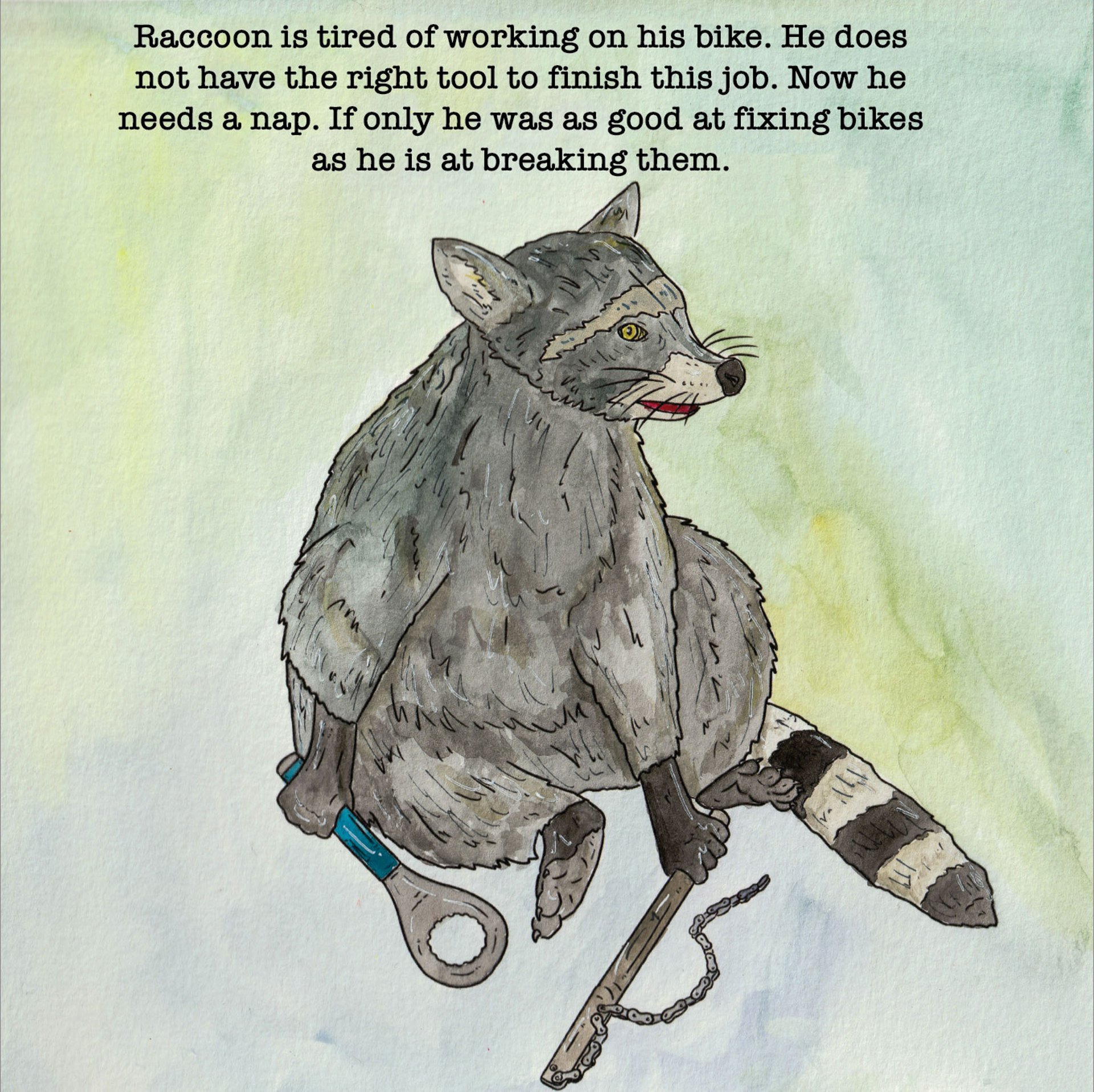 A sad raccoon with bike tools.