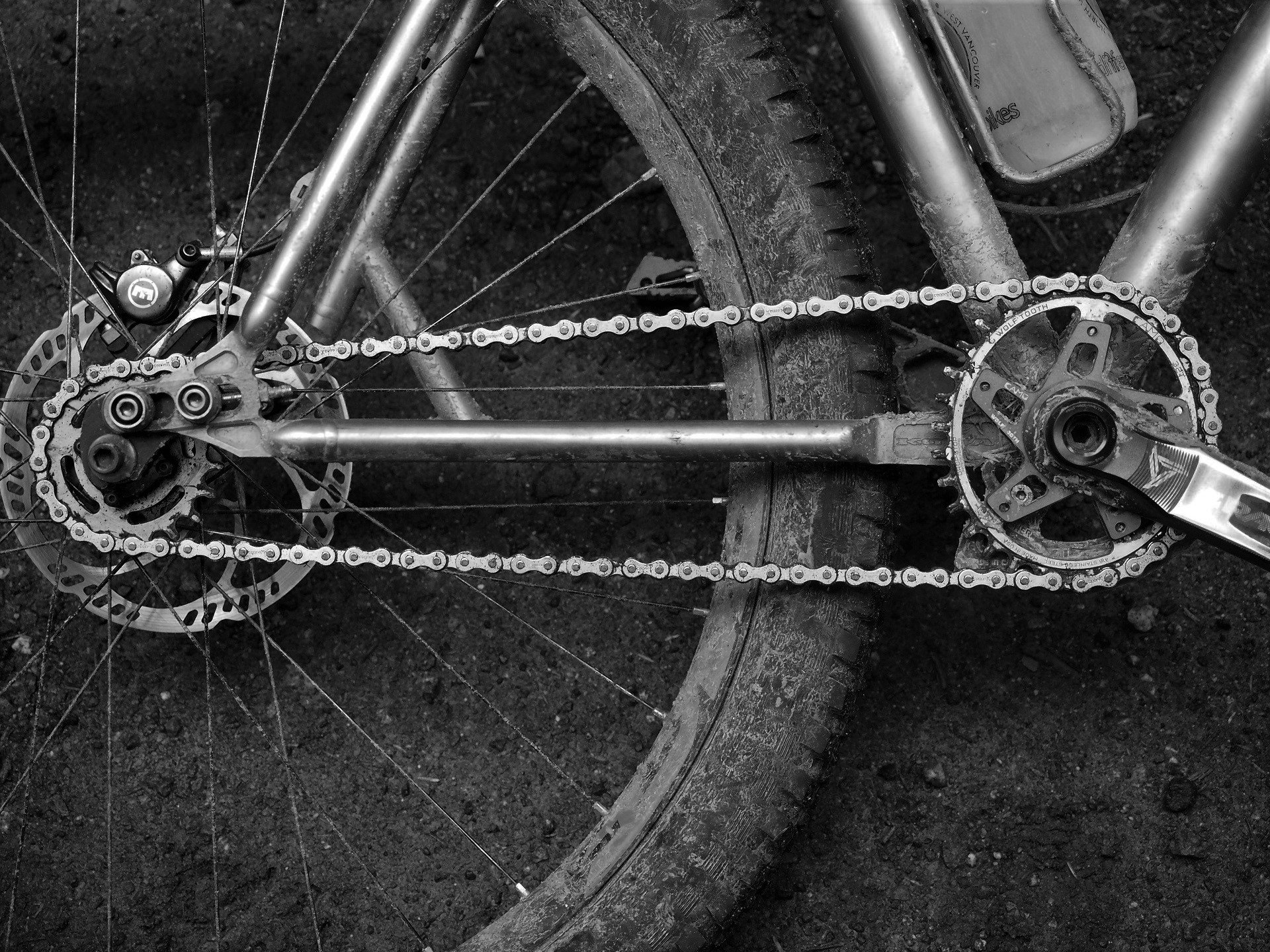 Wolftooth single speed clearance cog