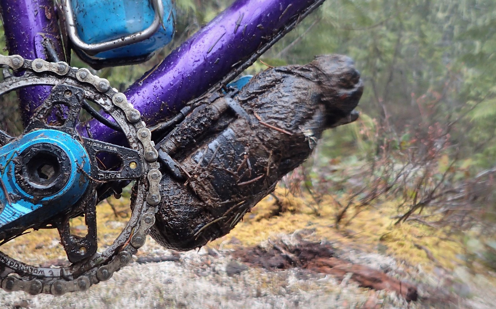 wolf tooth bike