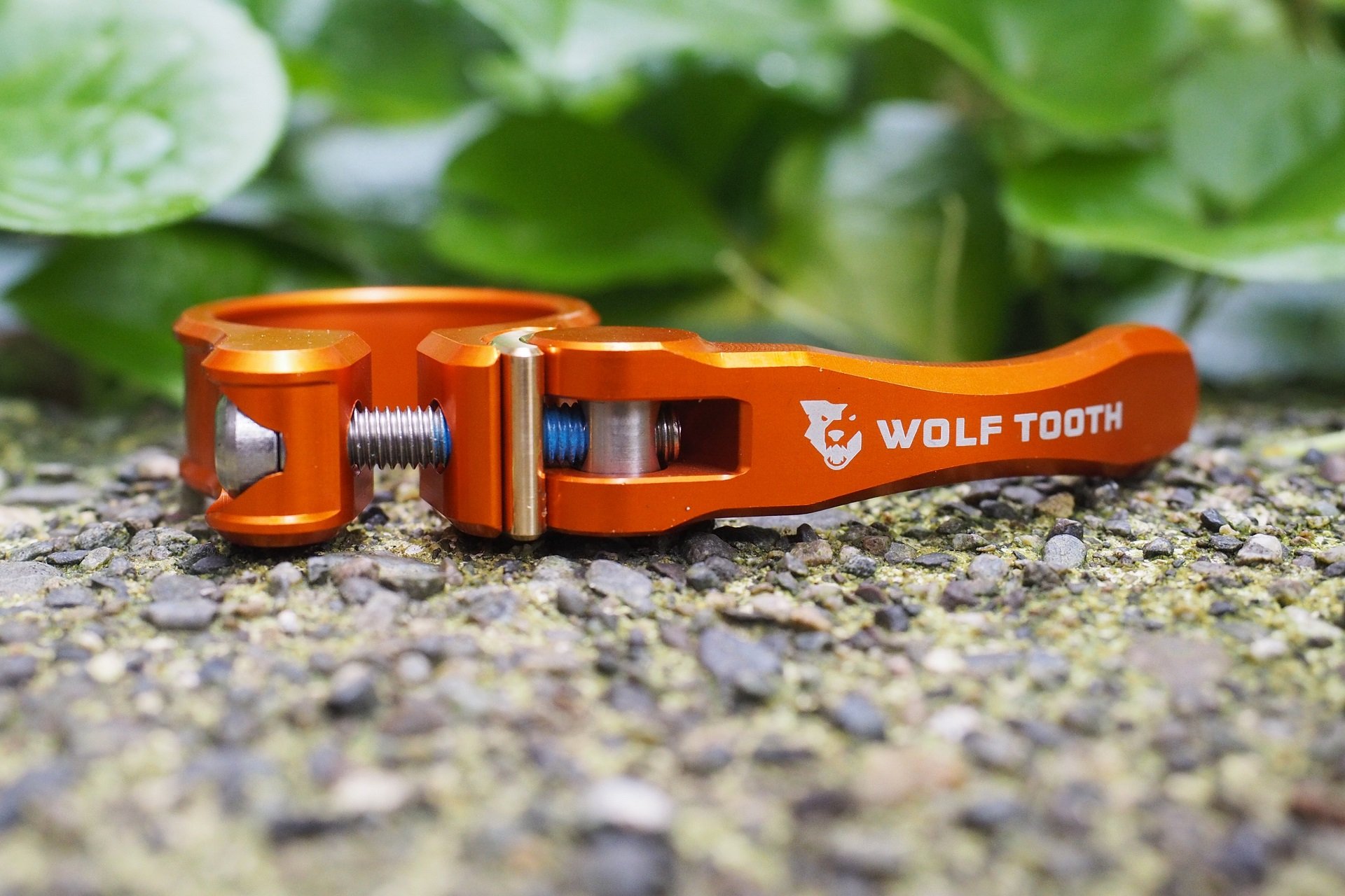 Wolf Tooth QR NSMB AndrewM (1).JPG