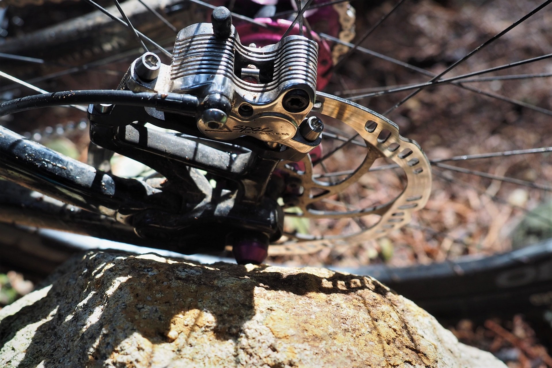 Wolf Tooth Axle AndrewM