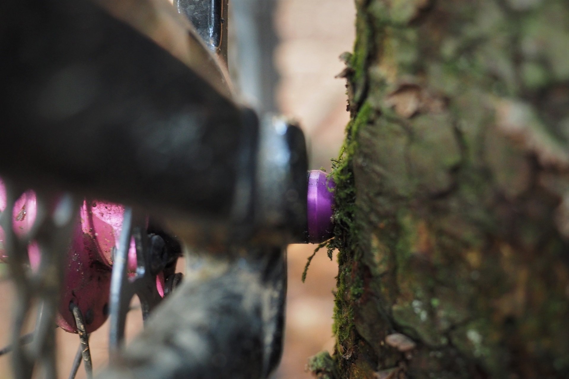 Wolf Tooth Axle AndrewM