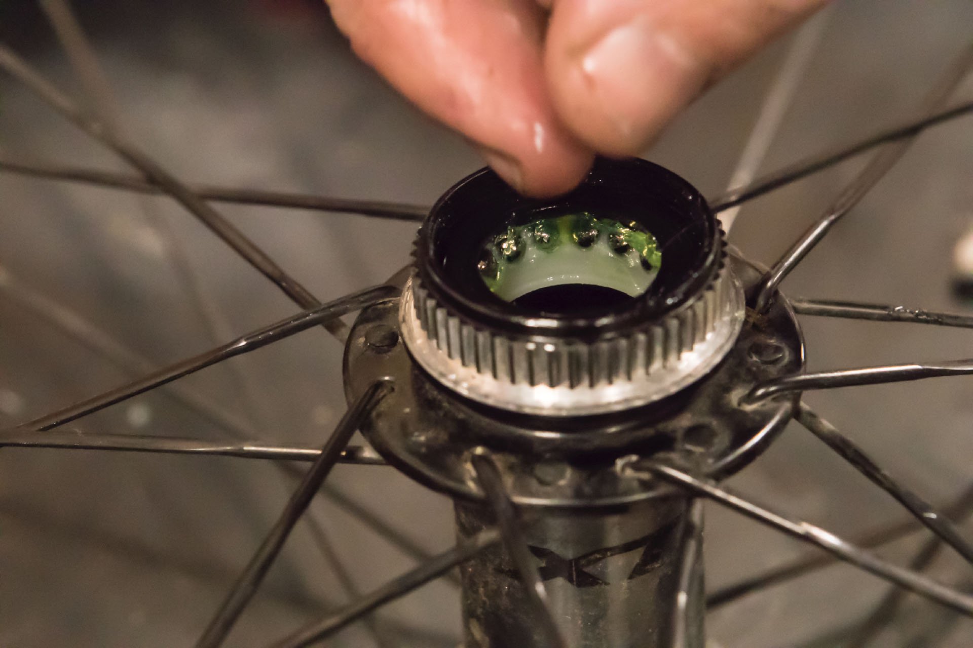 Teardown - Shimano XTR M9100 Hubs