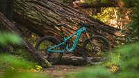 Yeti MTe