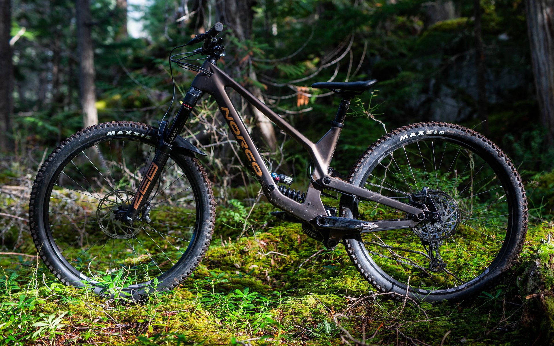 Norco 29er hot sale range