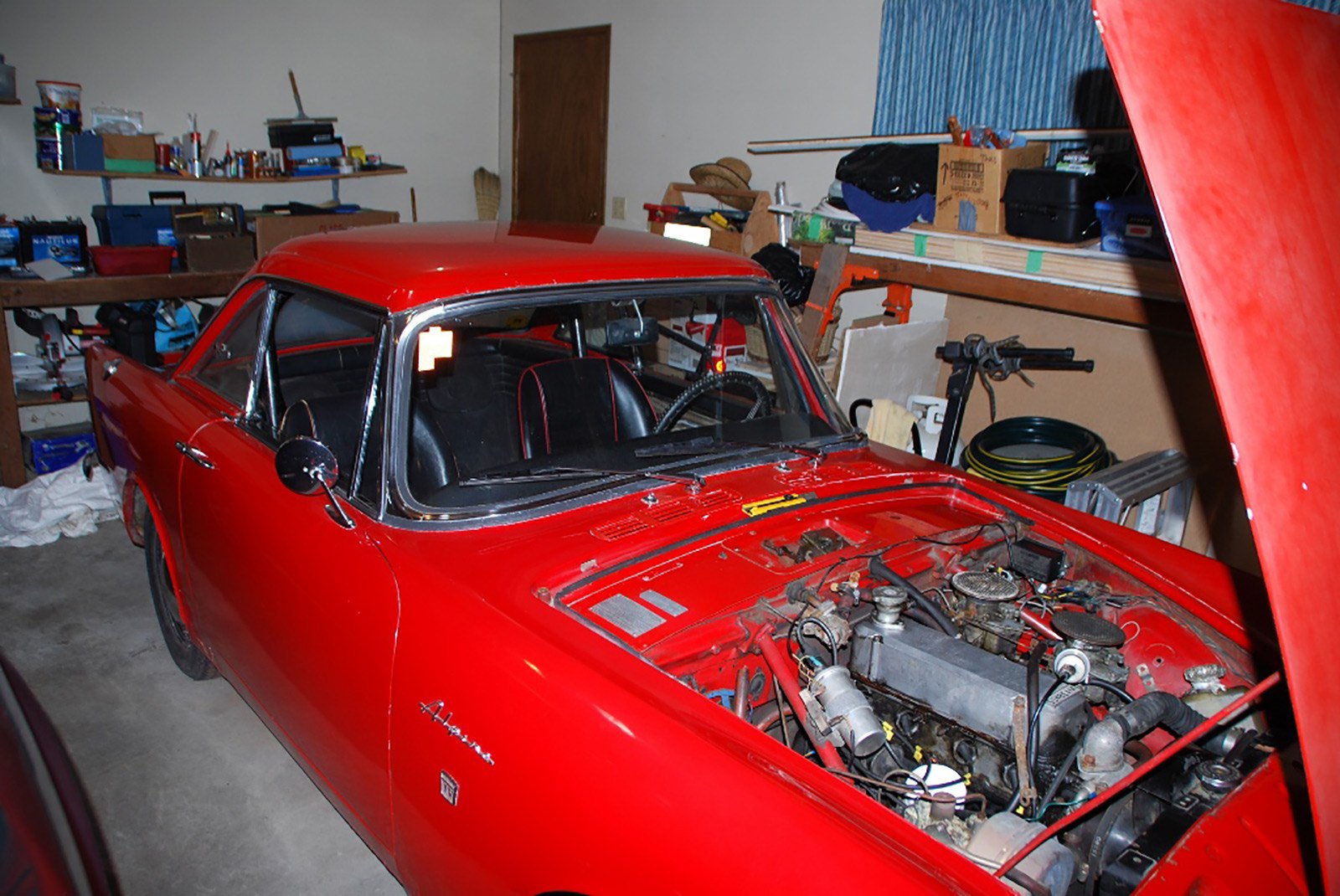 alpine.jpg
