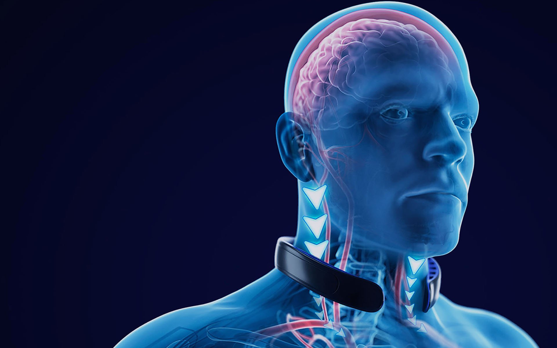 Brain-Protecting Q-Collar Technology Spreads Through Sports World