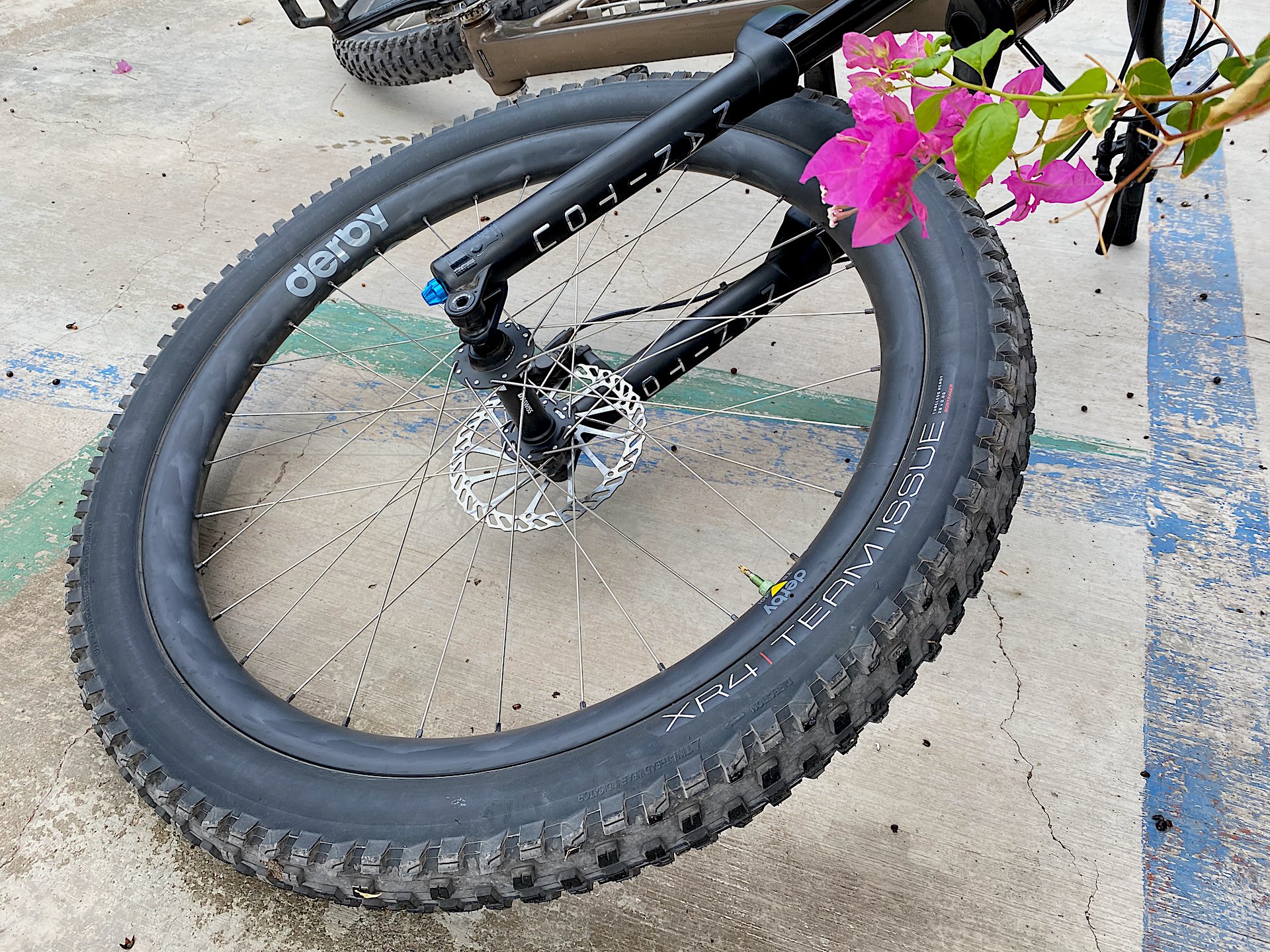 bougainville