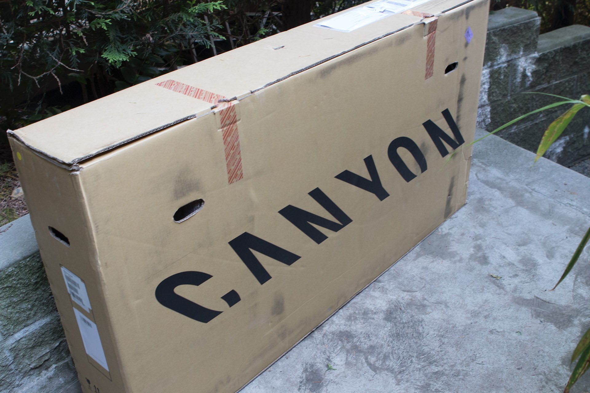 Canyon discount bike delivery