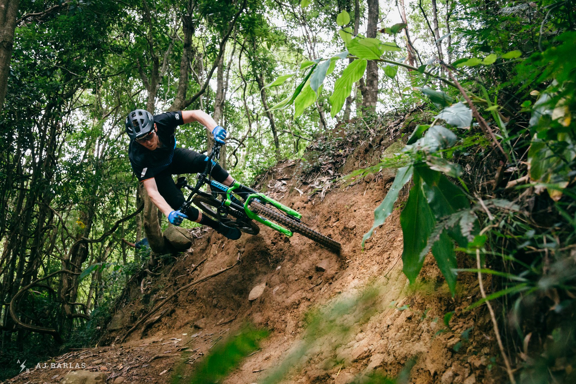 Josh Carlson riding high on Mount Keira