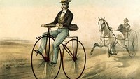 cautionhorse