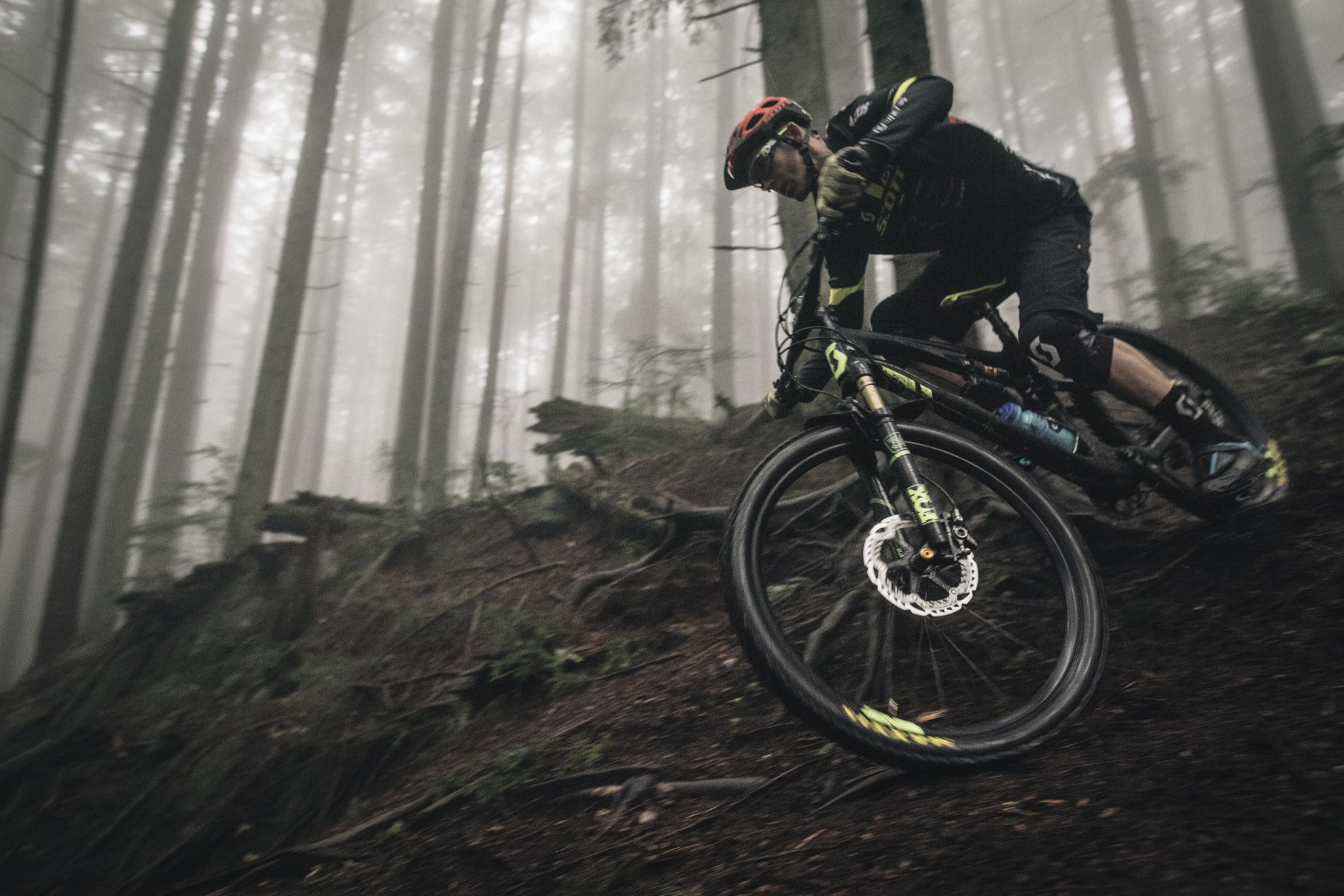 Secret trails. MTB Trail. Влажный Mountain Bike Trail. Hiawatha Mountain Bike Trail. Картинки лес велосипедист туман.