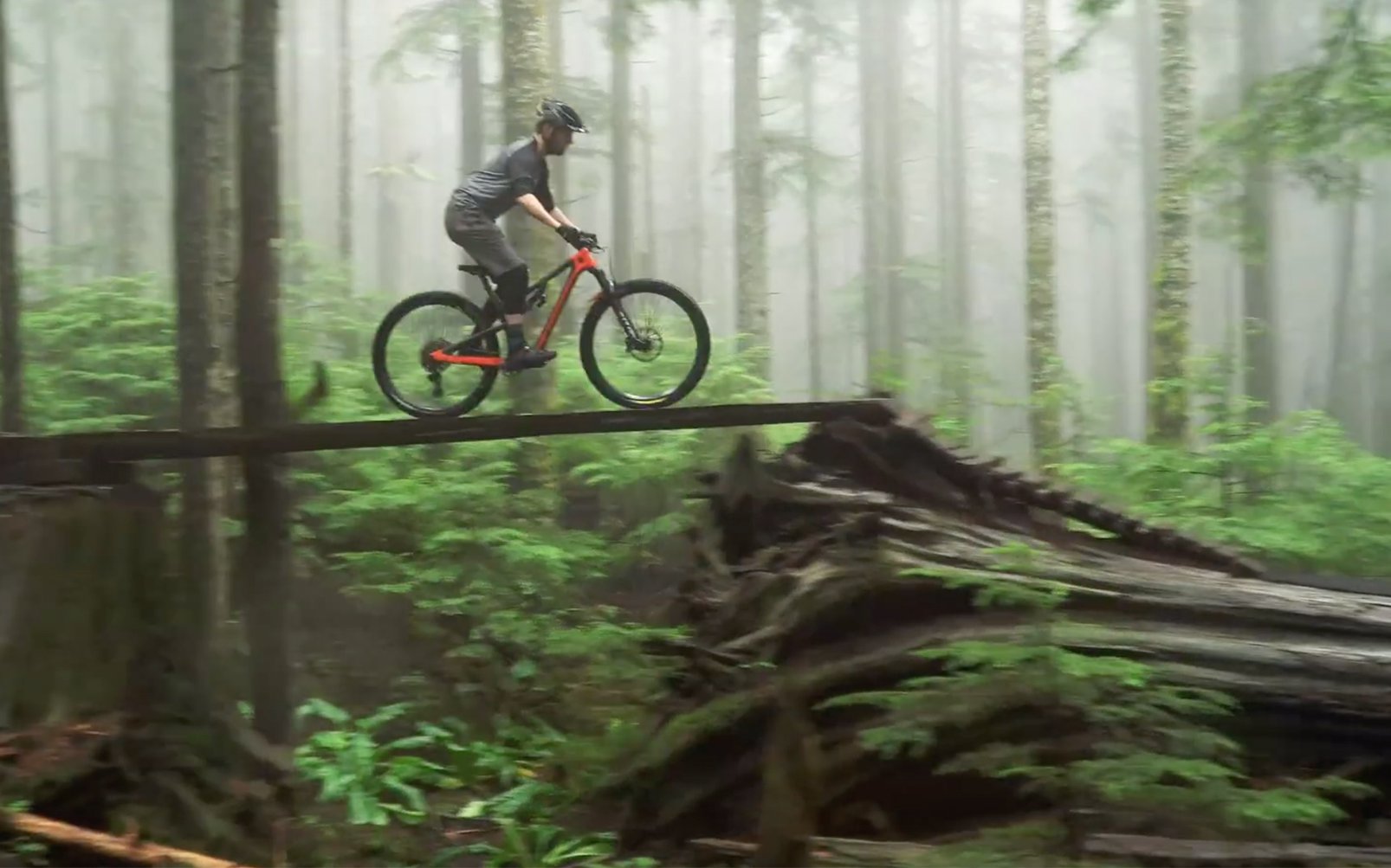 North harbour mountain bike hot sale trail