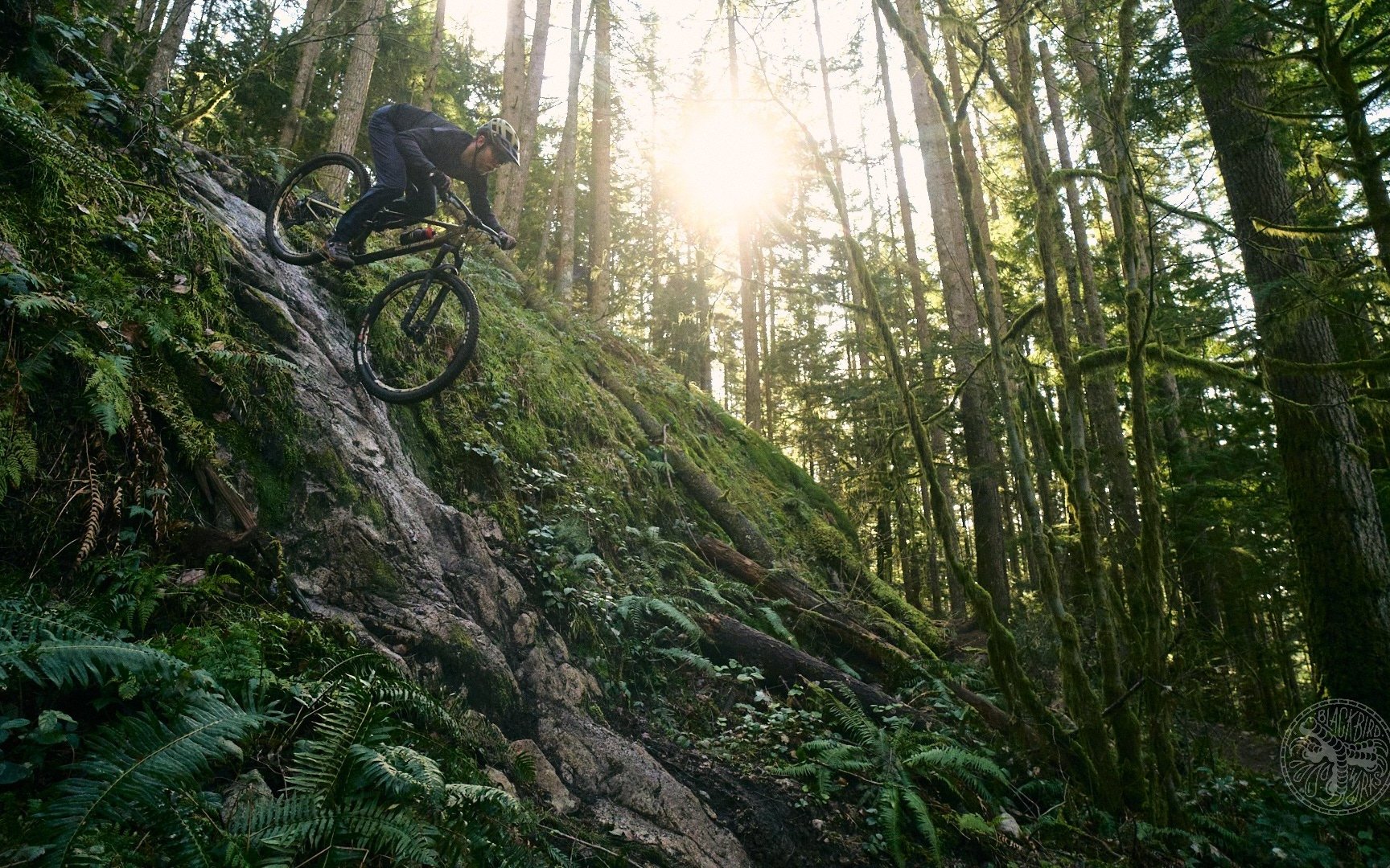 cooper quinn rocky mountain element cover