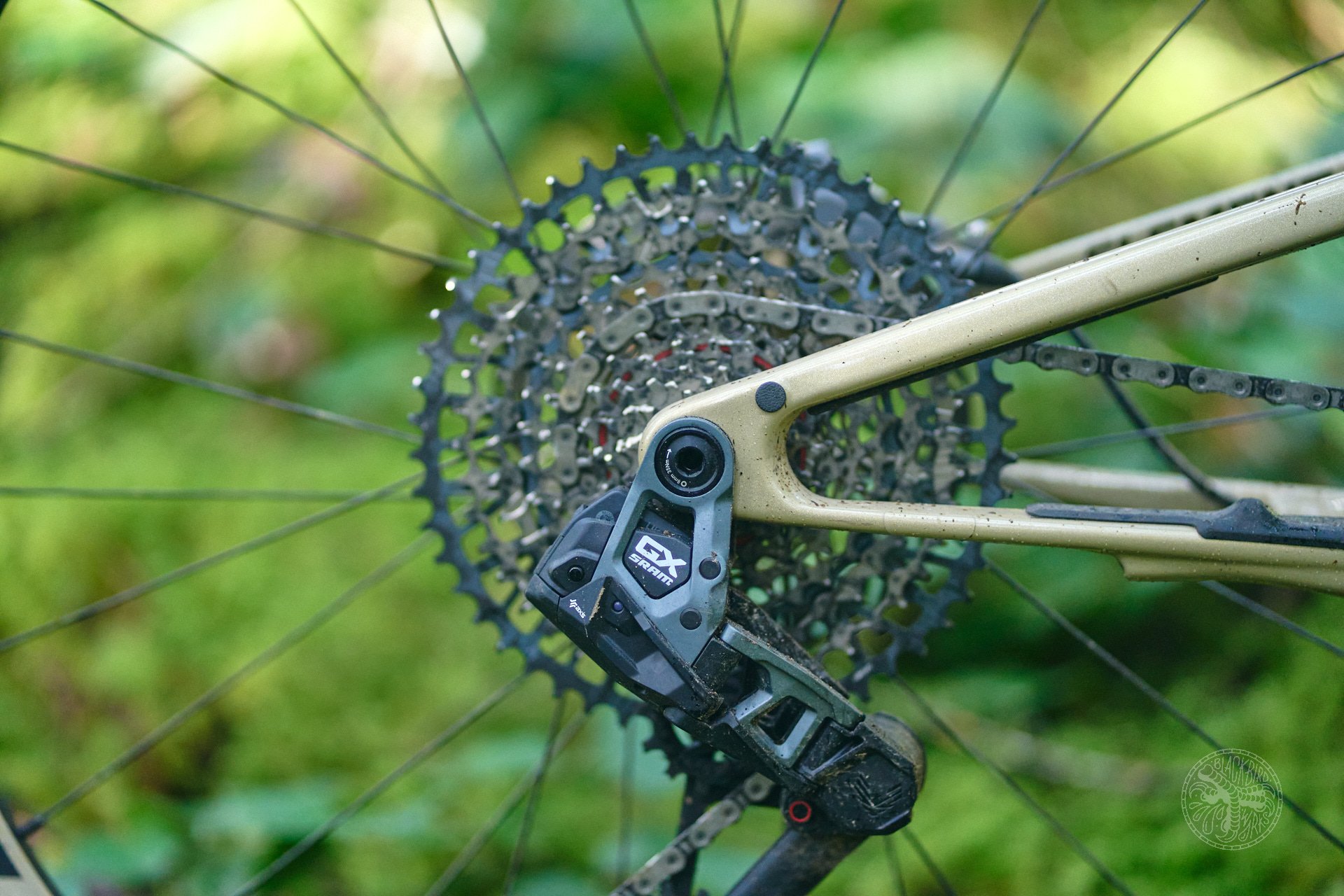 cooper quinn rocky mountain element 25