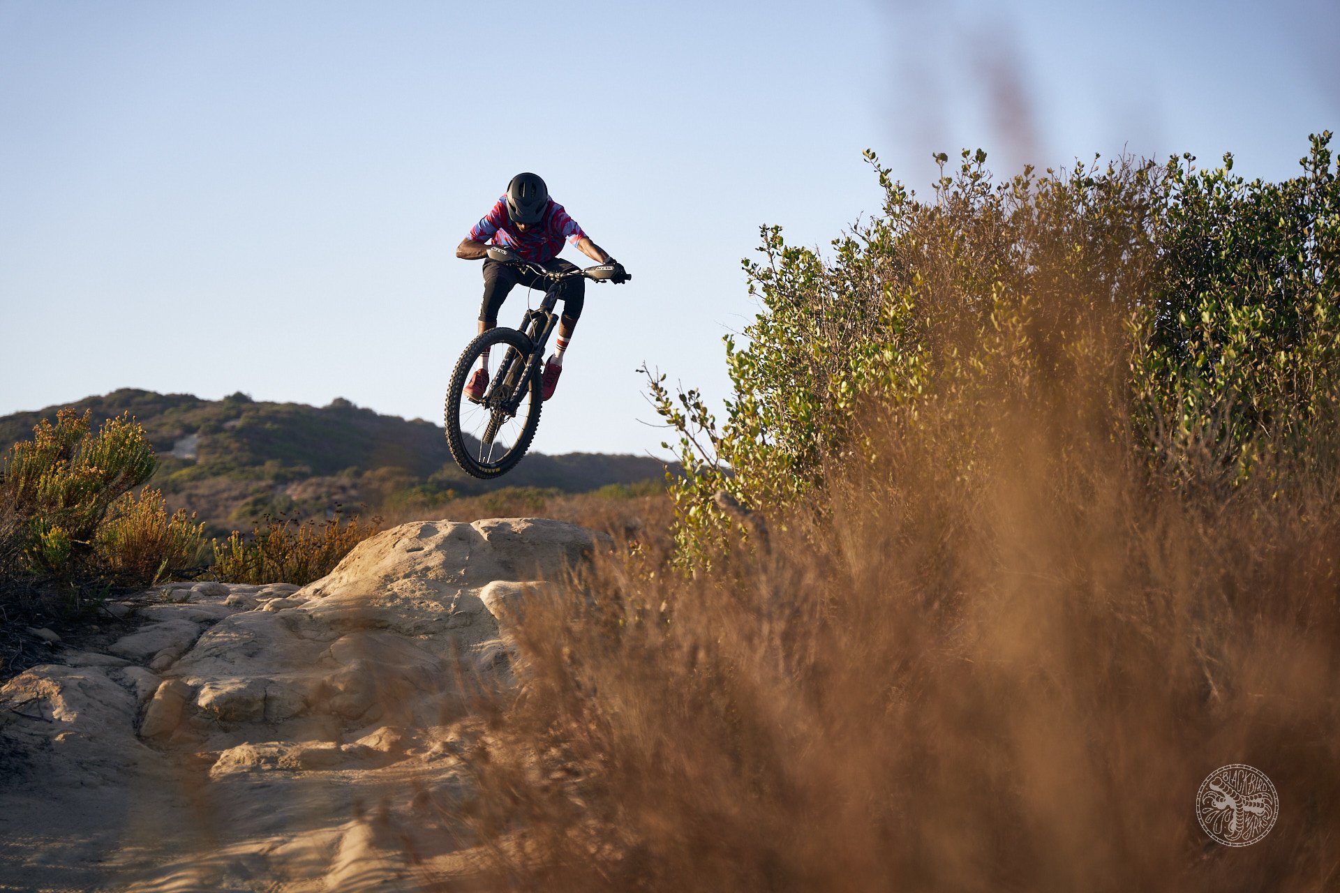 deniz merdano crankbrothers 78