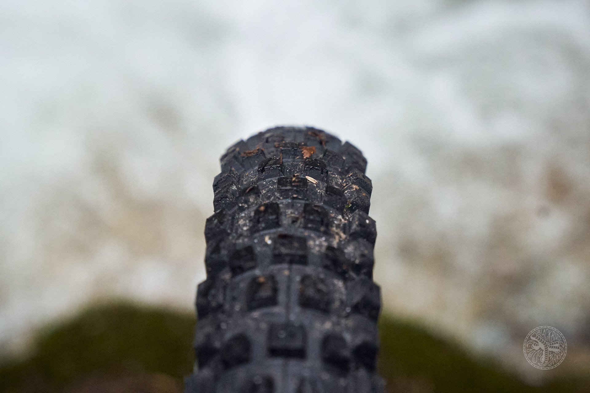 deniz merdano delium tires versatile rugged 5.jpg
