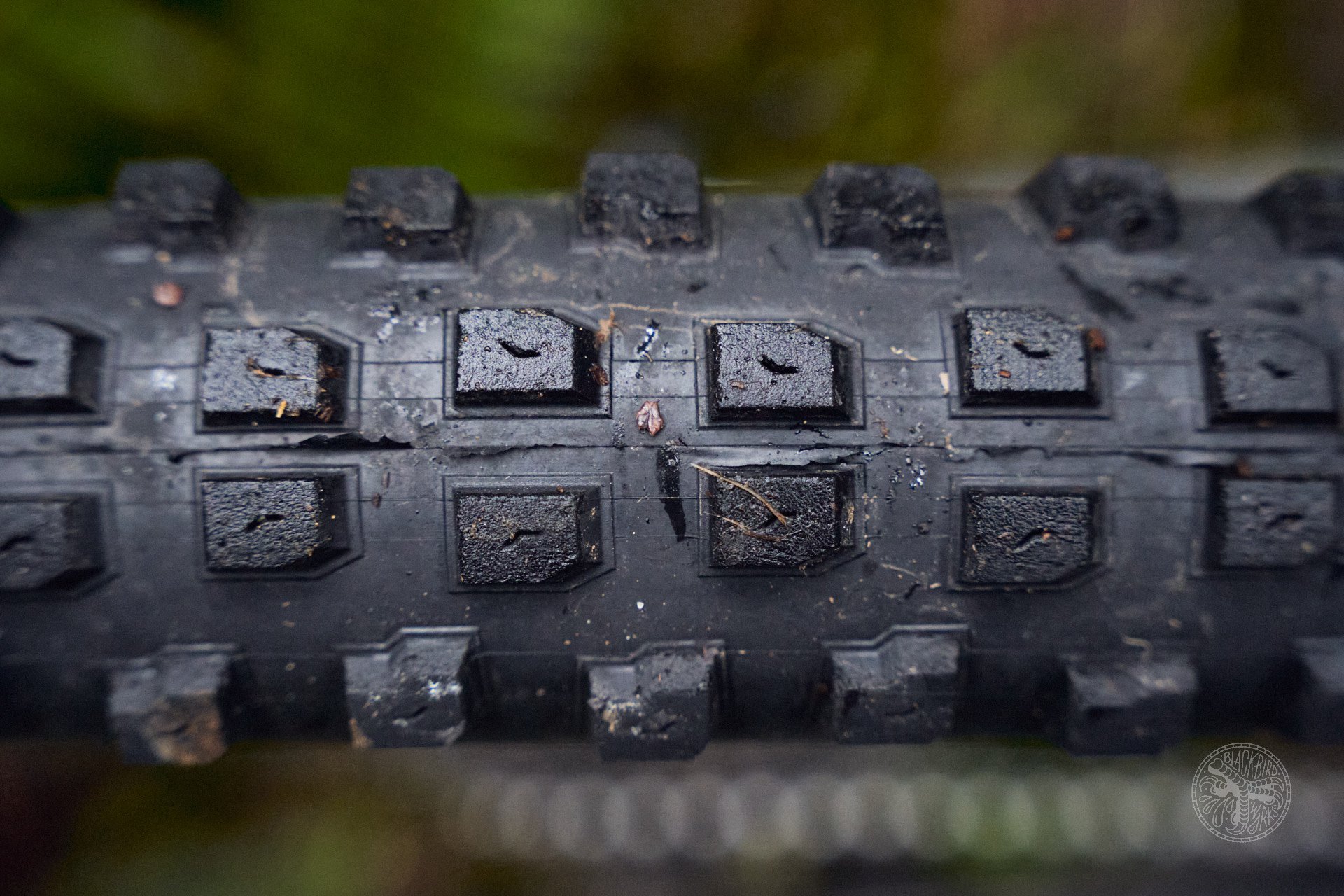 deniz merdano delium tires versatile rugged 8.jpg