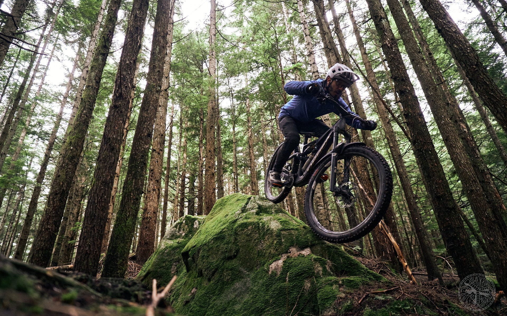 deniz merdano orbea delium 6.jpg