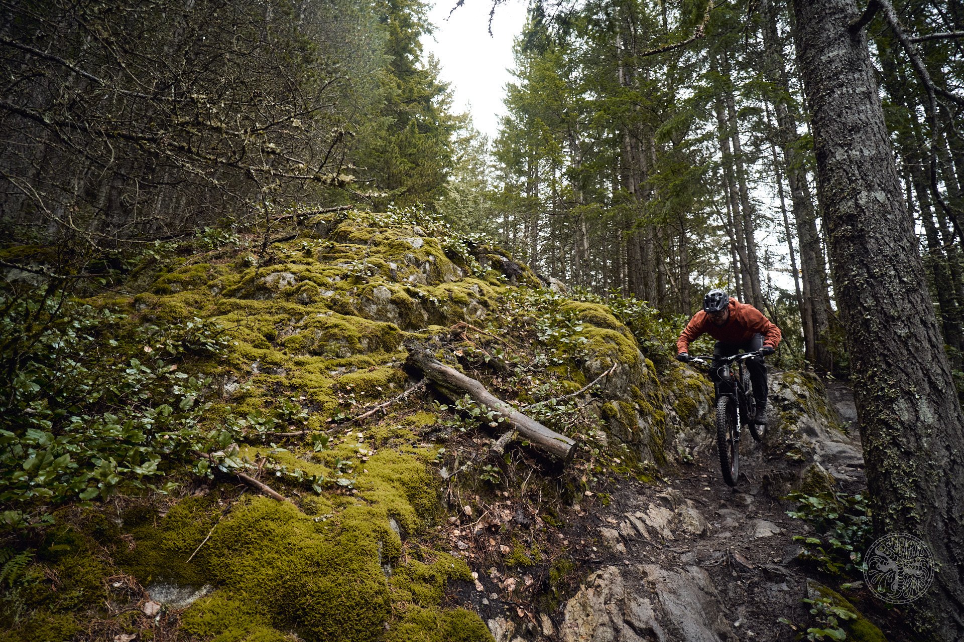 deniz merdano rockshox suspension 42