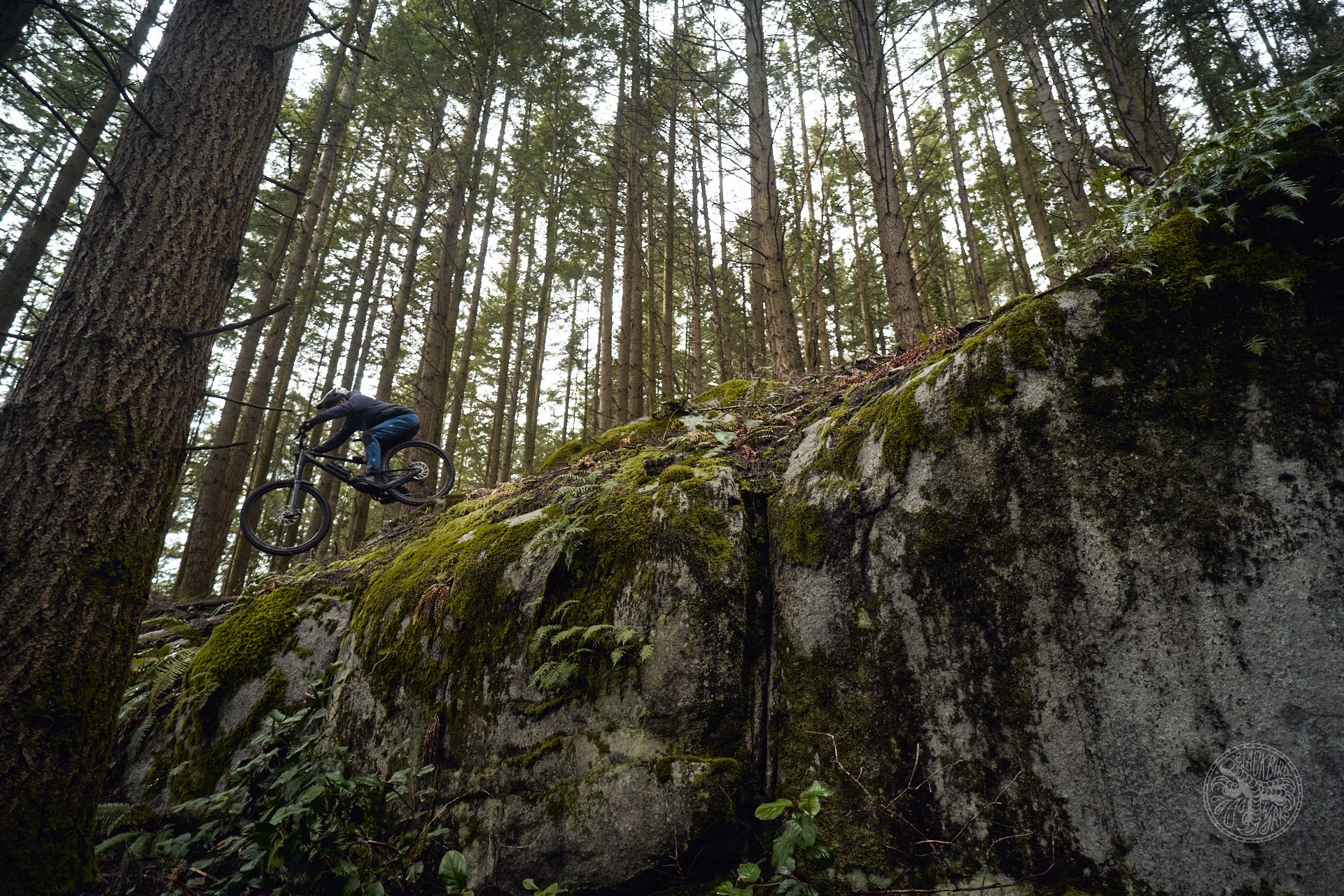 deniz merdano rockshox suspension 46