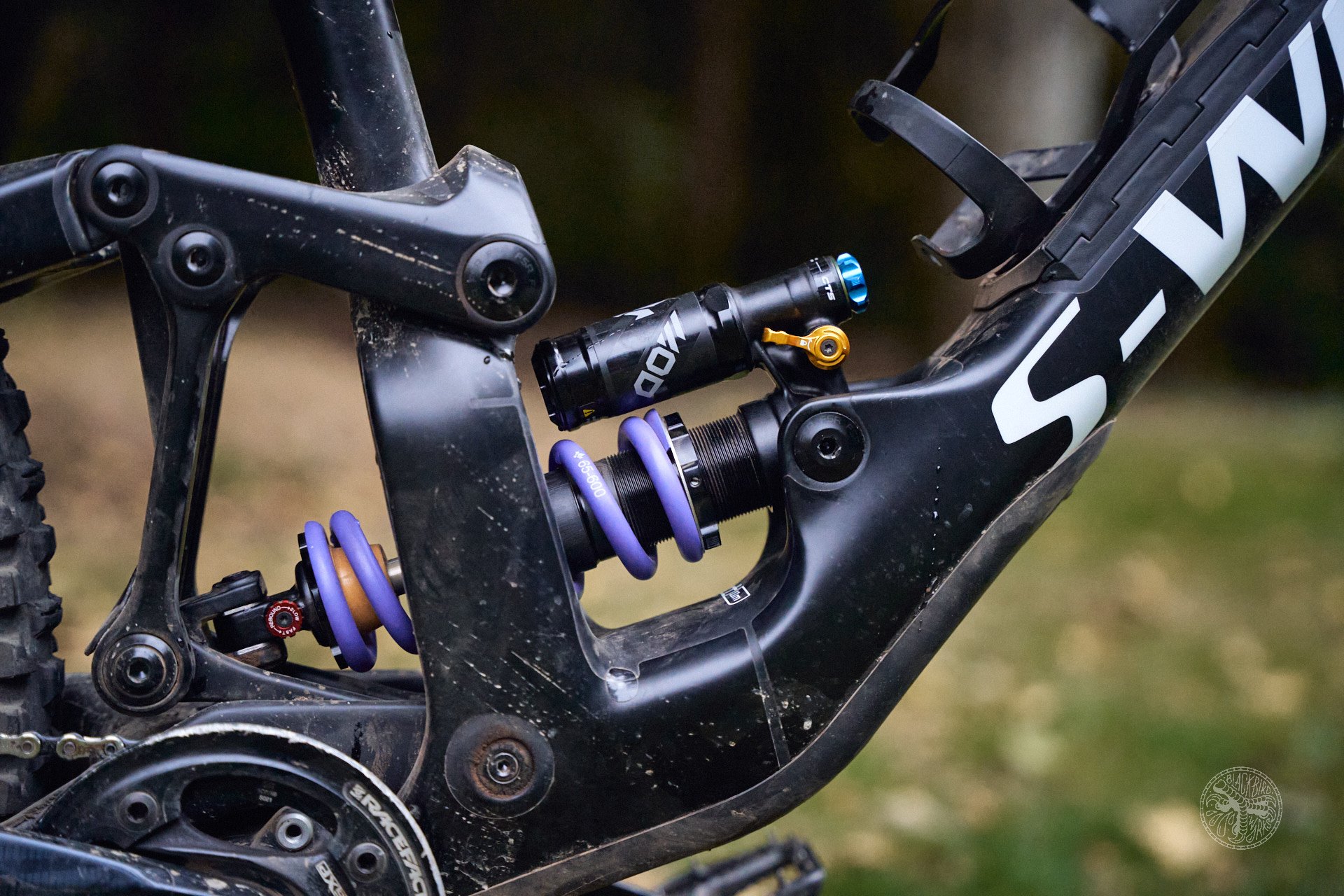 Formula mtb suspension new arrivals