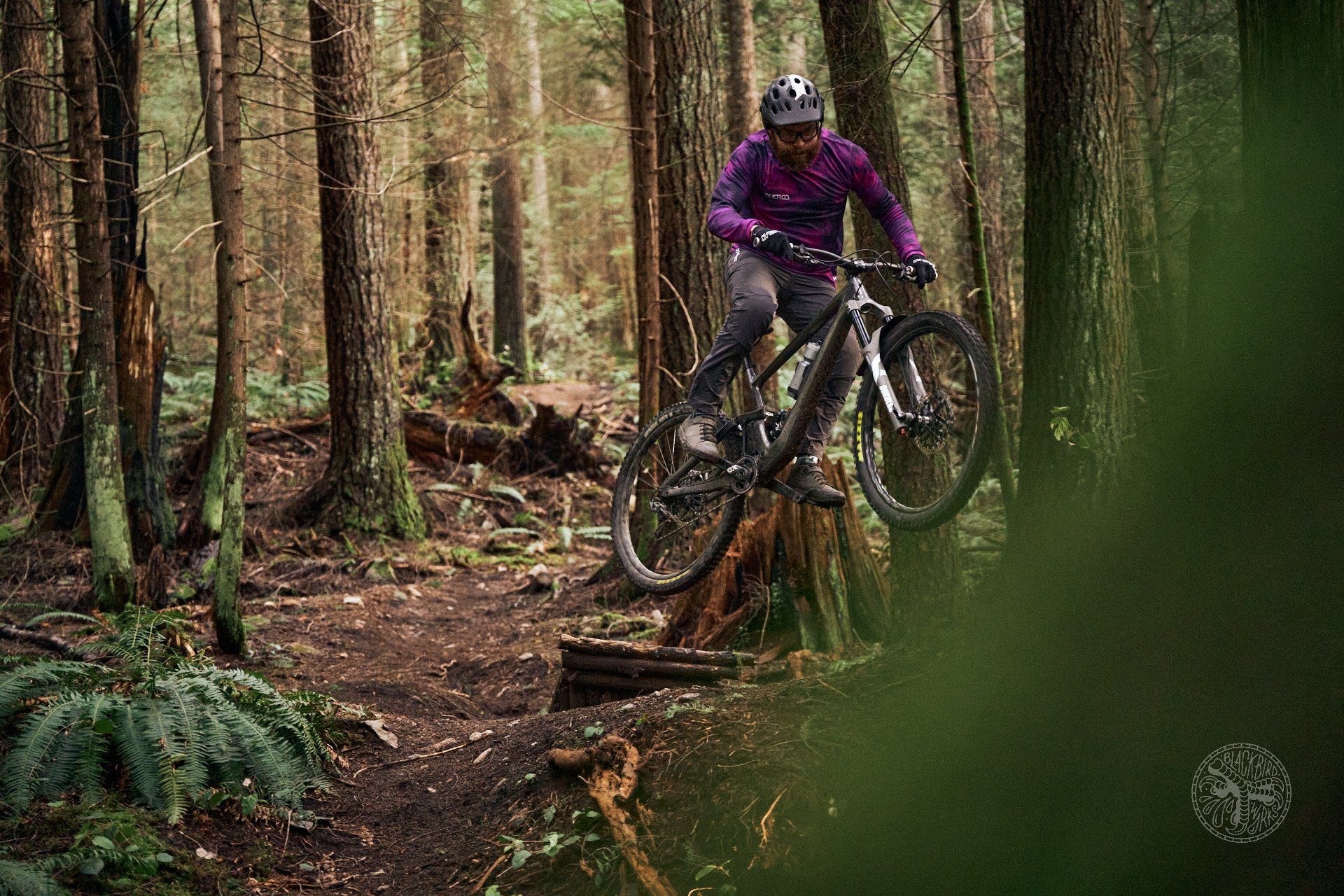 deniz merdano ryan walters suntour dharco magura review 50