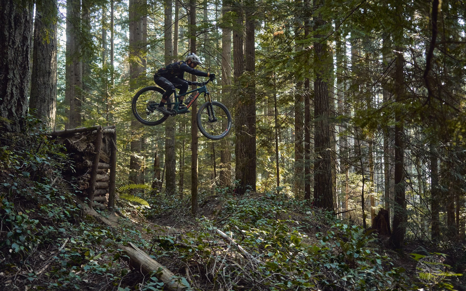 Santa cruz best sale hightower pinkbike