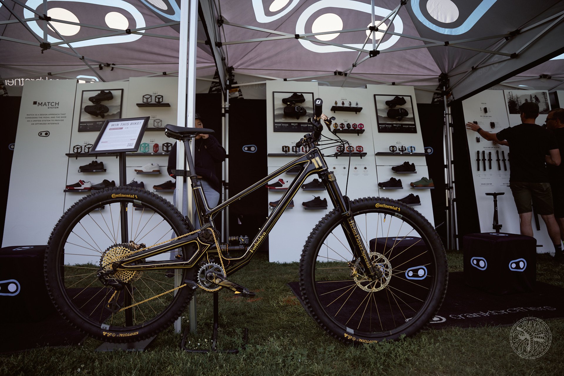 deniz merdano seaotter 165
