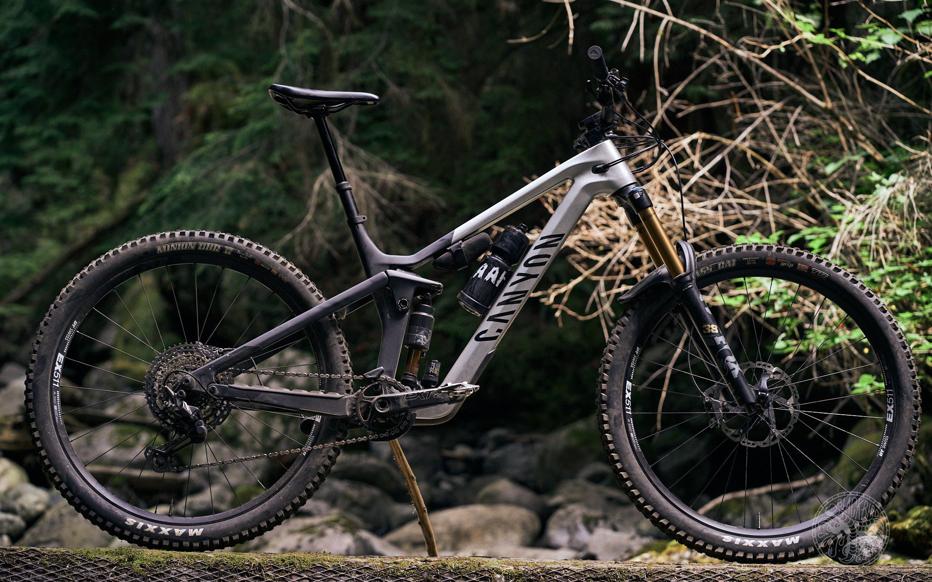 Canyon Strive 2025 Review