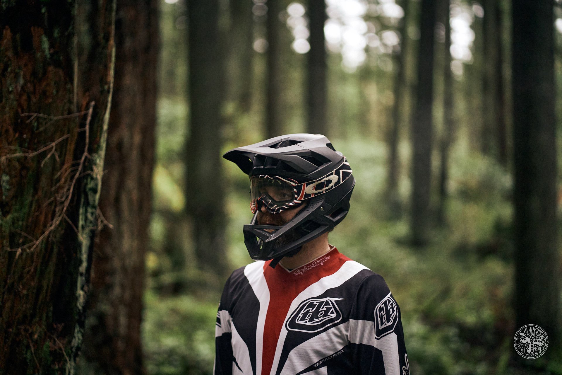 Fox store proframe helmet