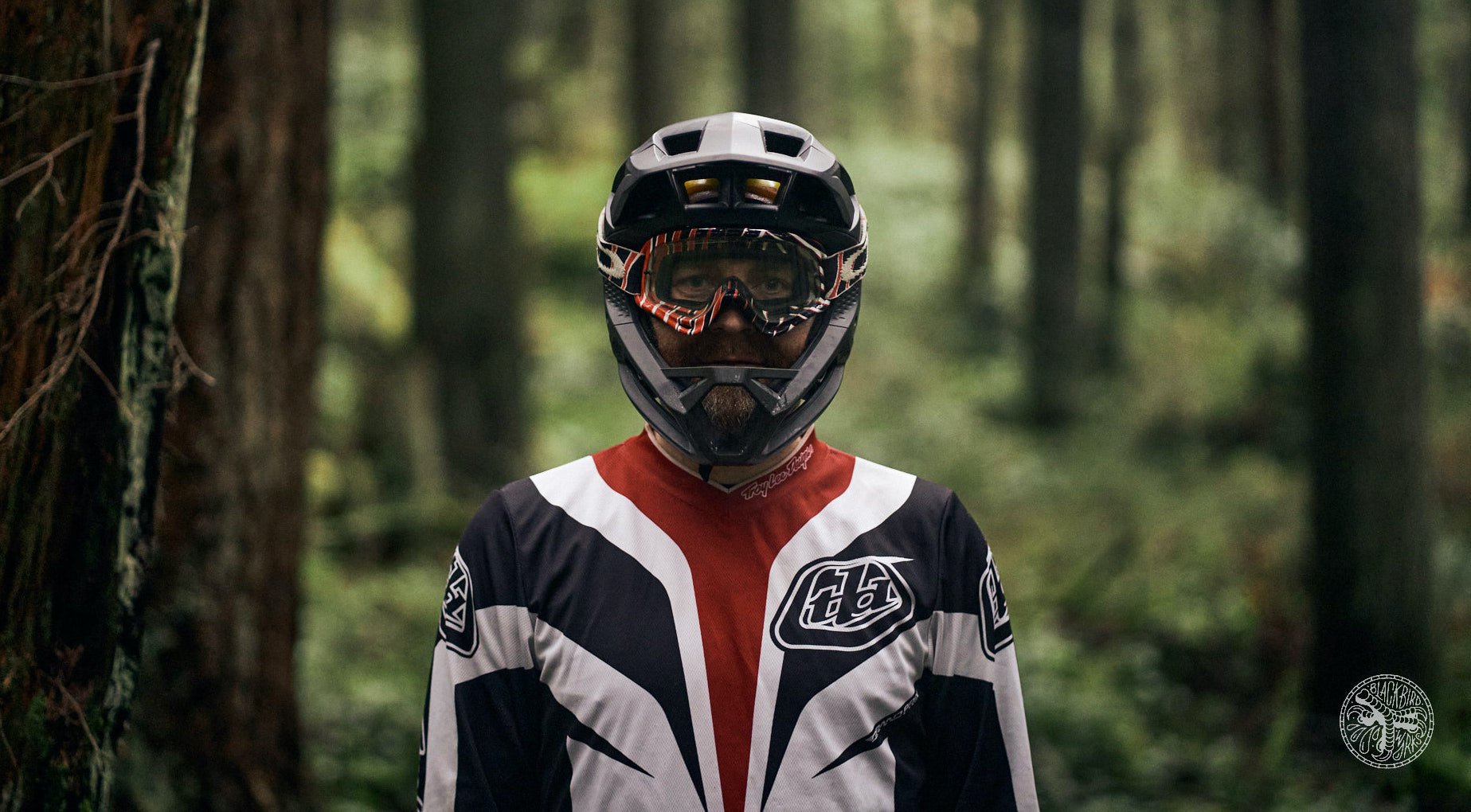 Fox store proframe downhill