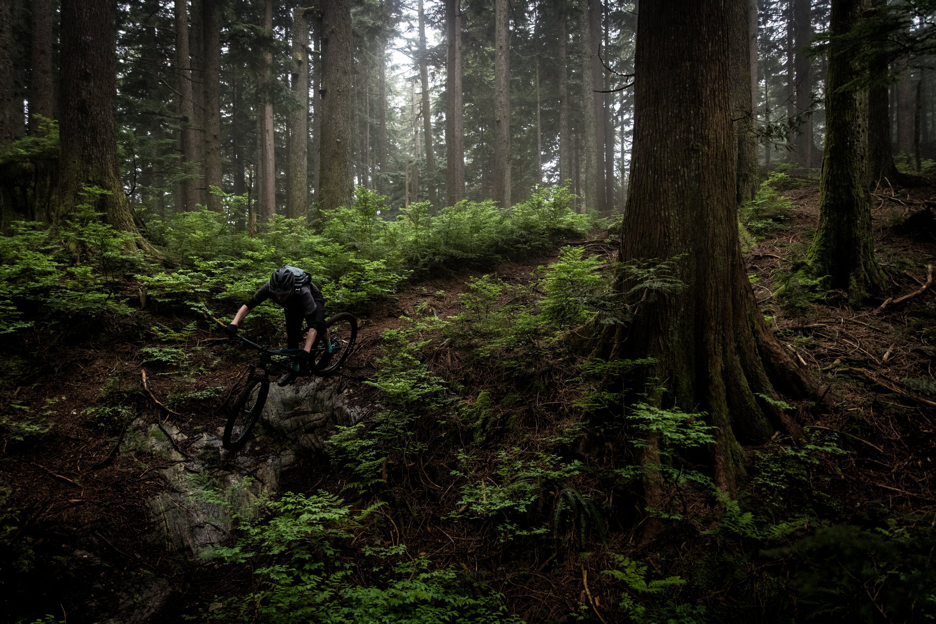 ds-2020-transition-spur-cooperquinn-8388.jpg