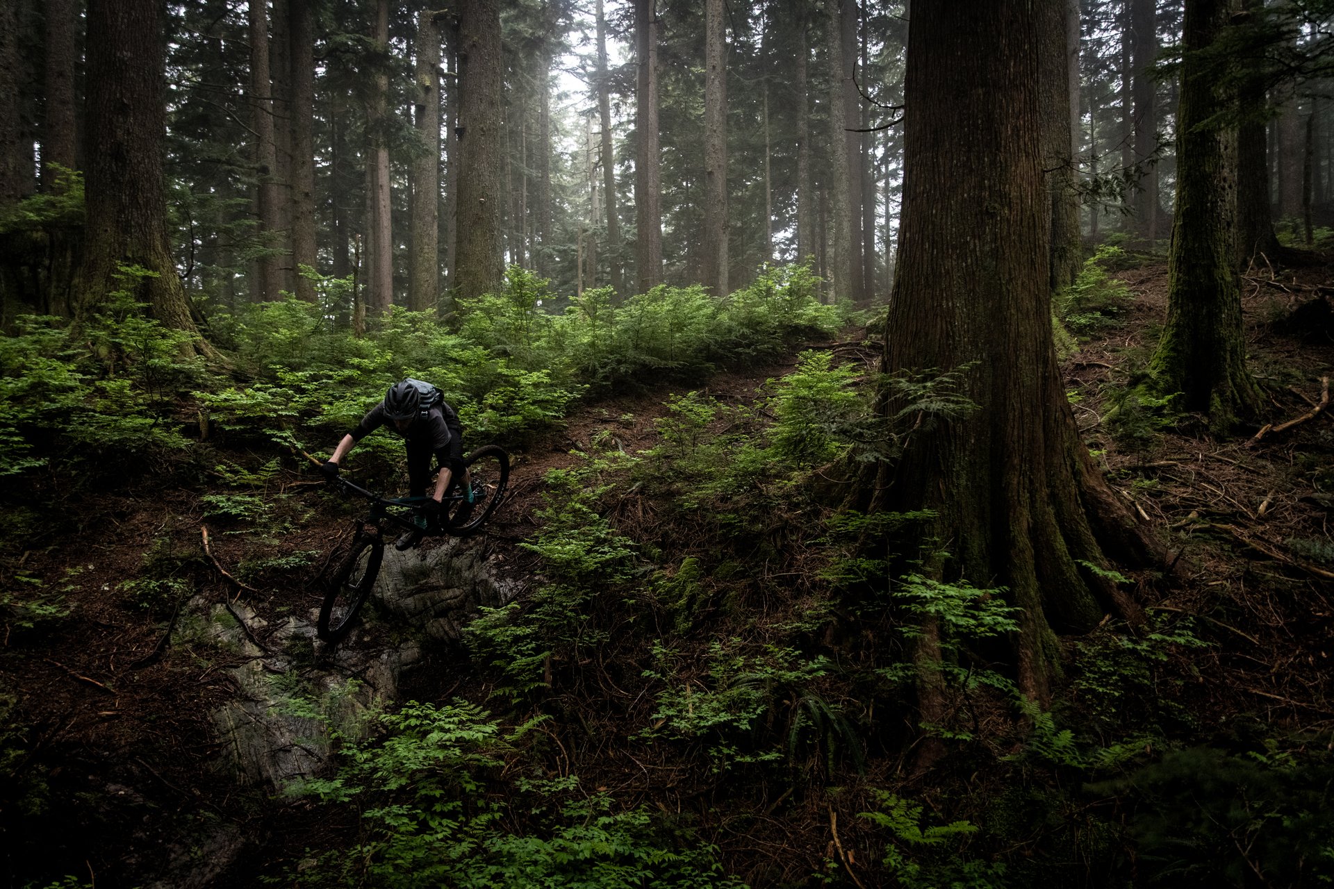 ds-2020-transition-spur-cooperquinn-8388.jpg