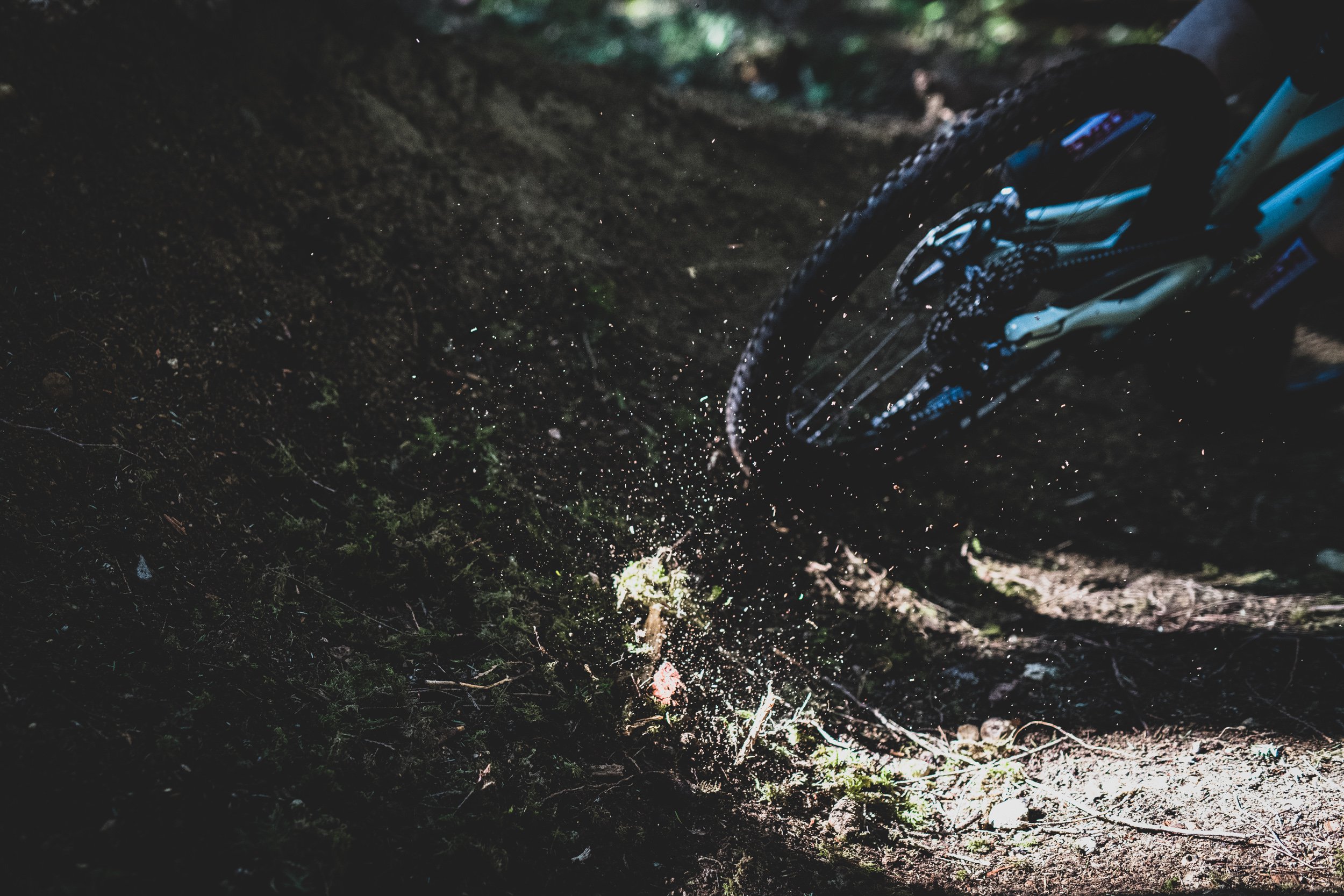 ds-nsmb-2019-forbidden-druid-8263.jpg