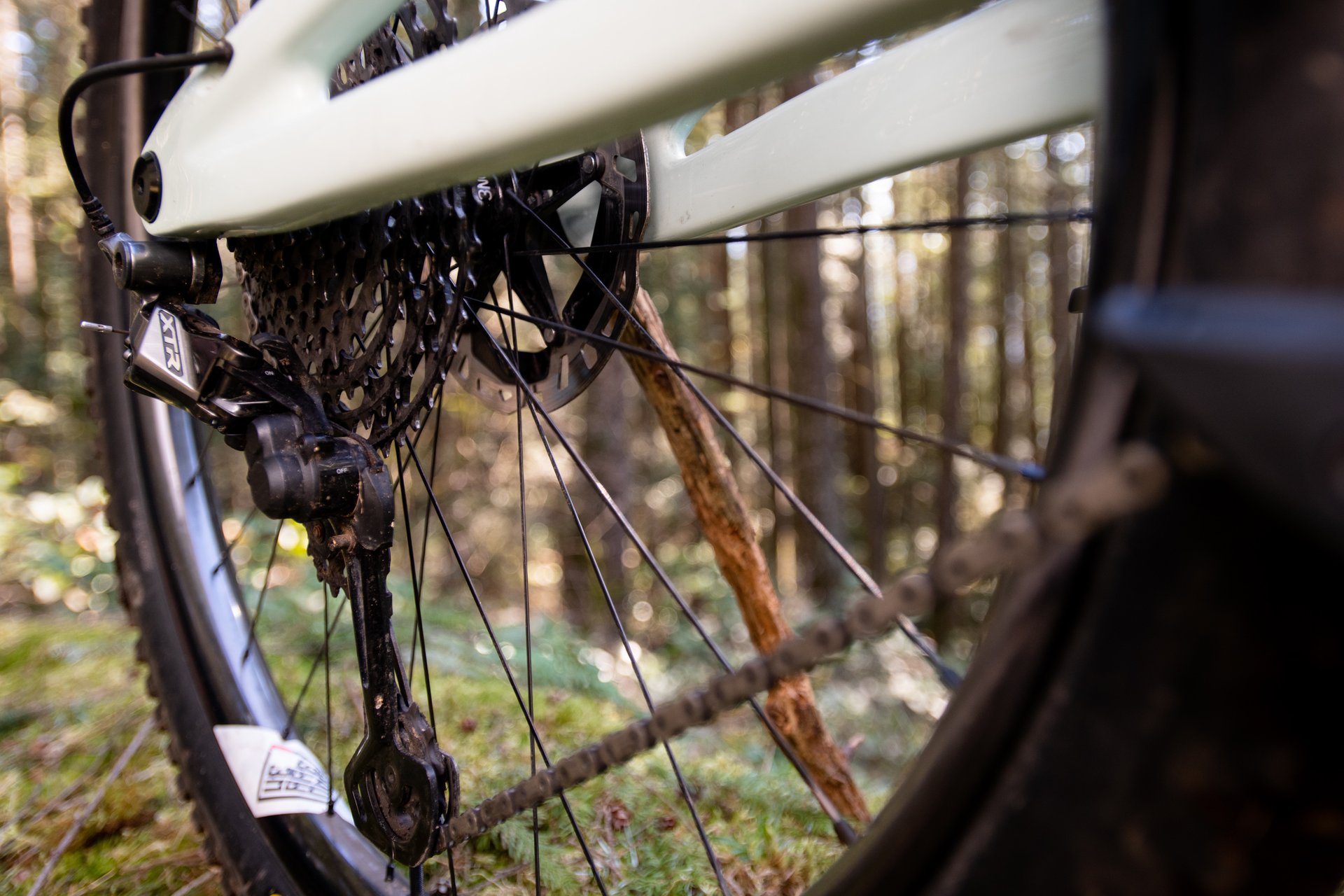 ds-nsmb-2019-forbidden-druid-8328.jpg