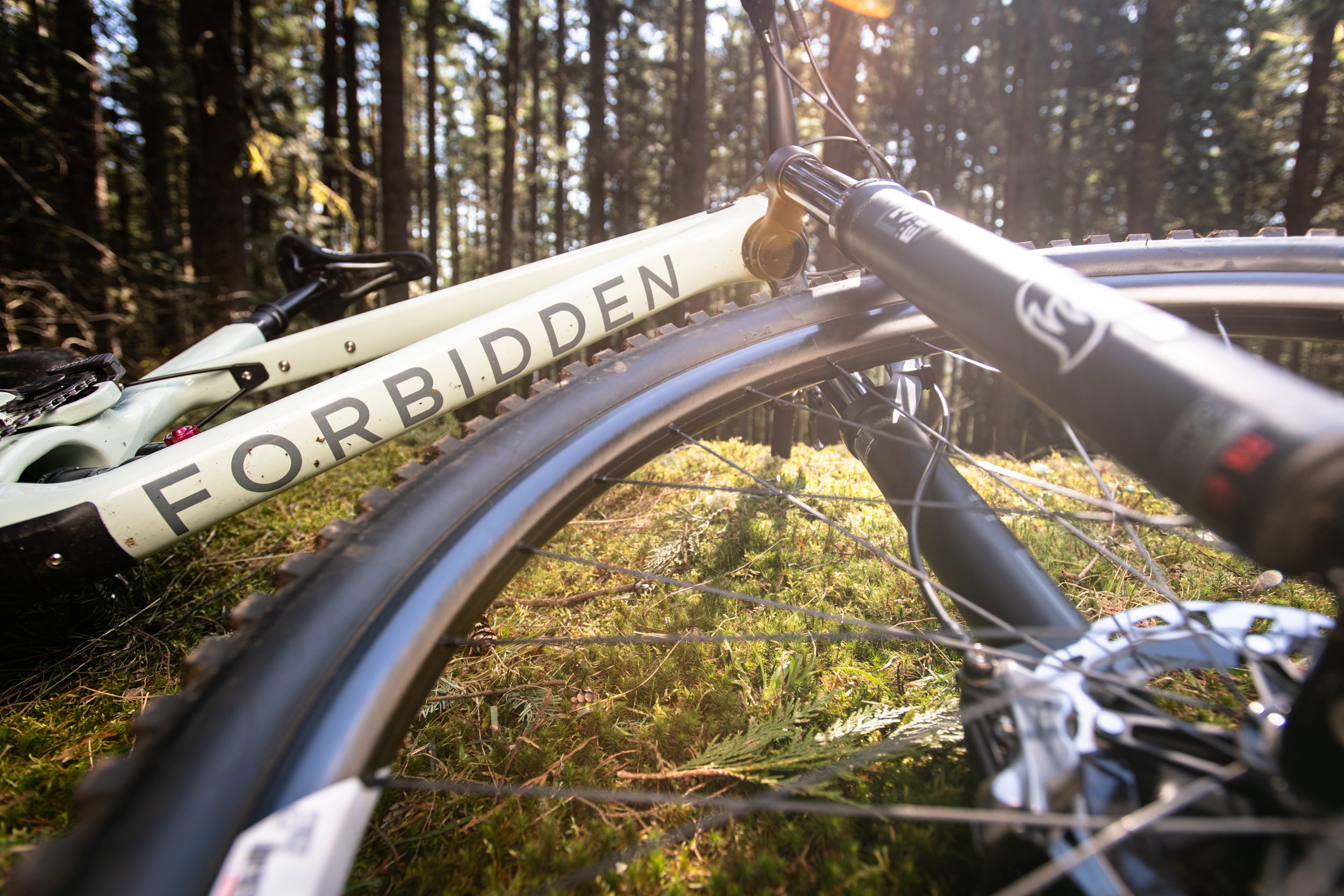 ds-nsmb-2019-forbidden-druid-8378.jpg