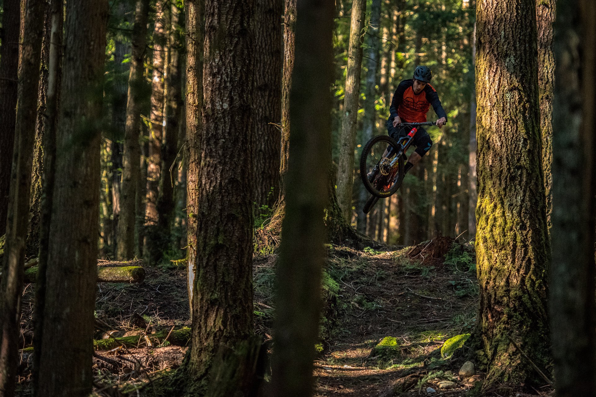ds_stock_chromag_StephenMatthews_SunshineCoast-9565.jpg