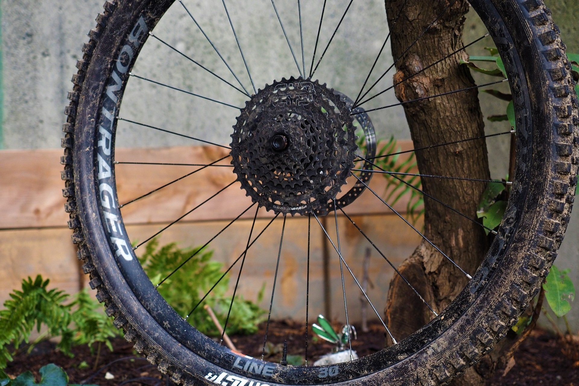 Bontrager line 30 rim sale