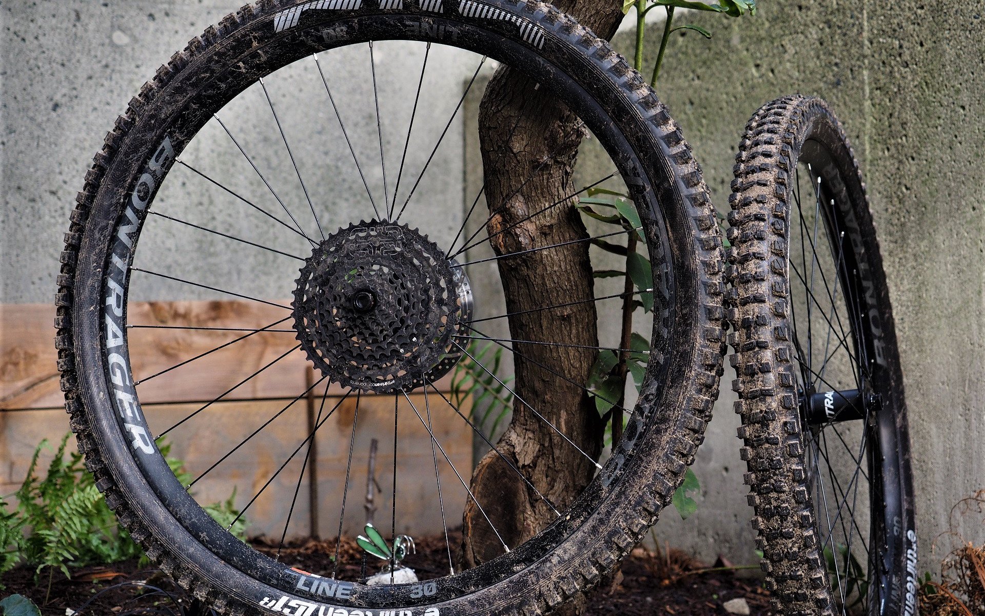 bontrager line comp 30 tubeless