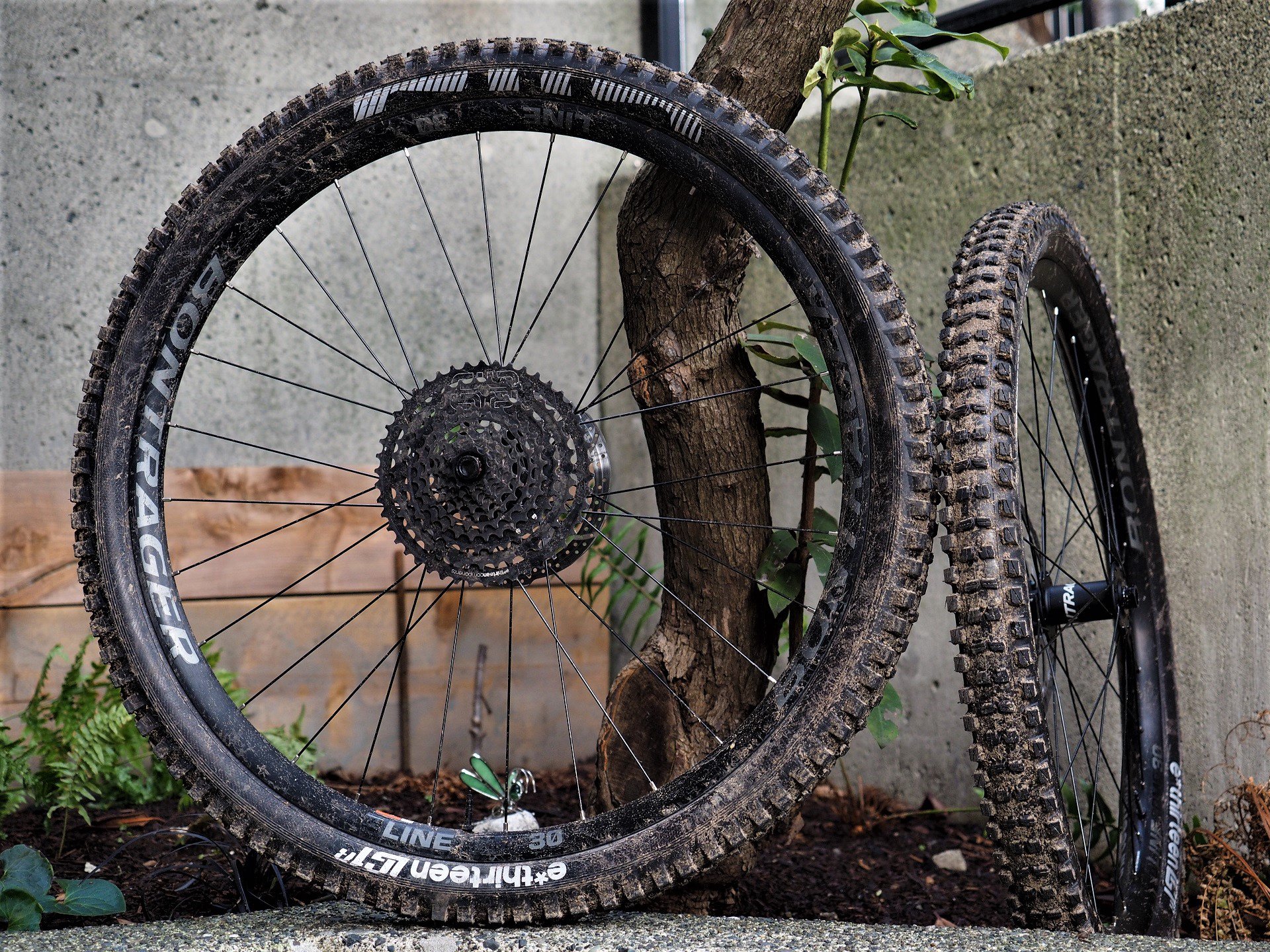 Bontrager sales wheels 29er