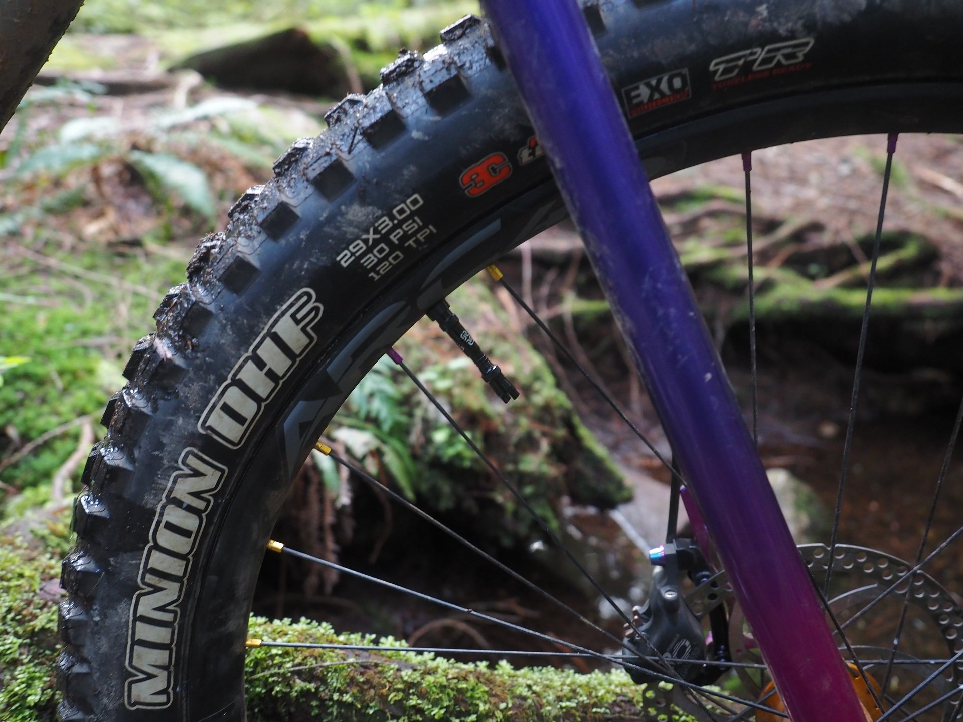 e13 Tubeless Valve NSMB AndrewM