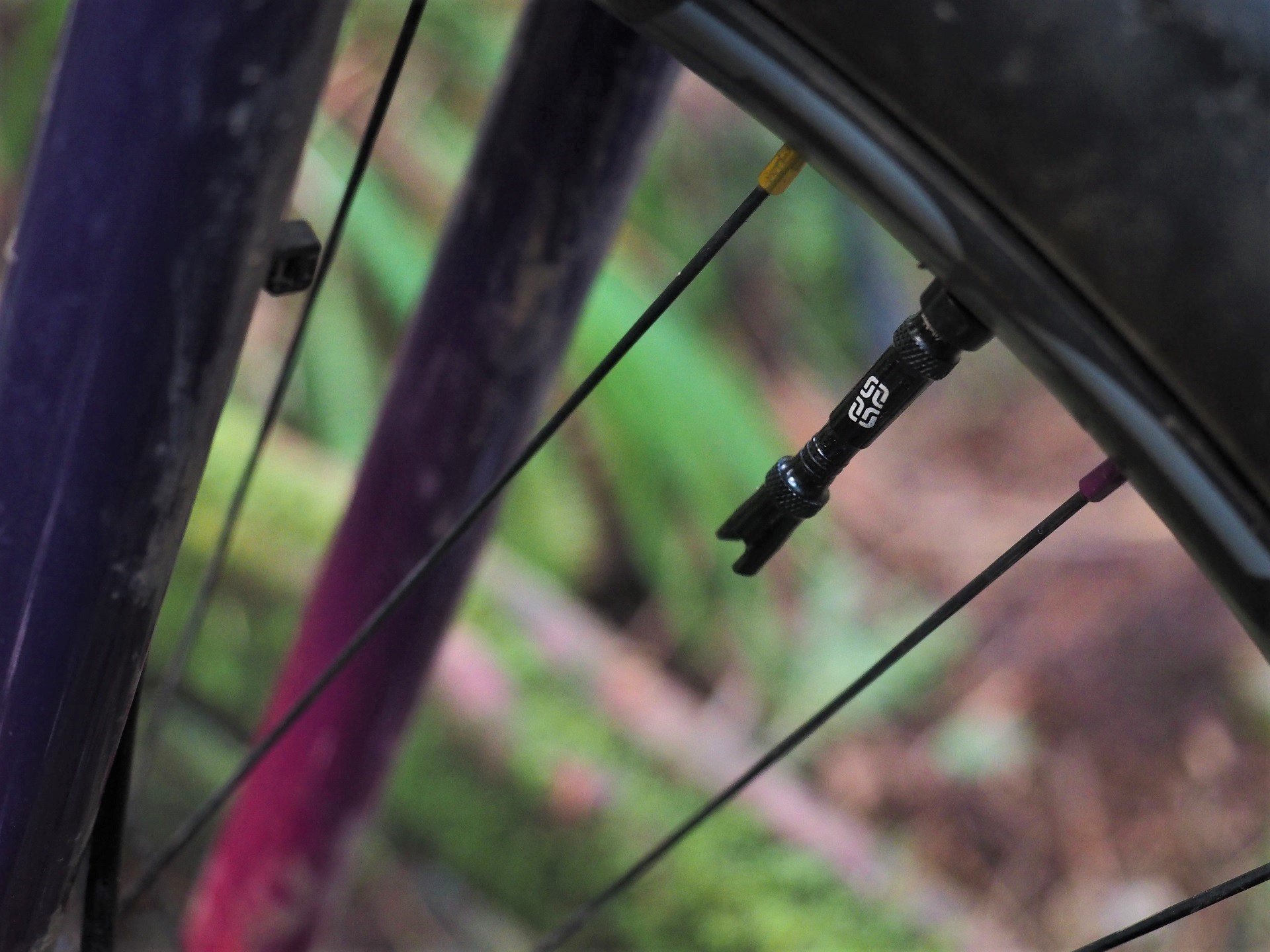 e13 Tubeless Valve NSMB AndrewM