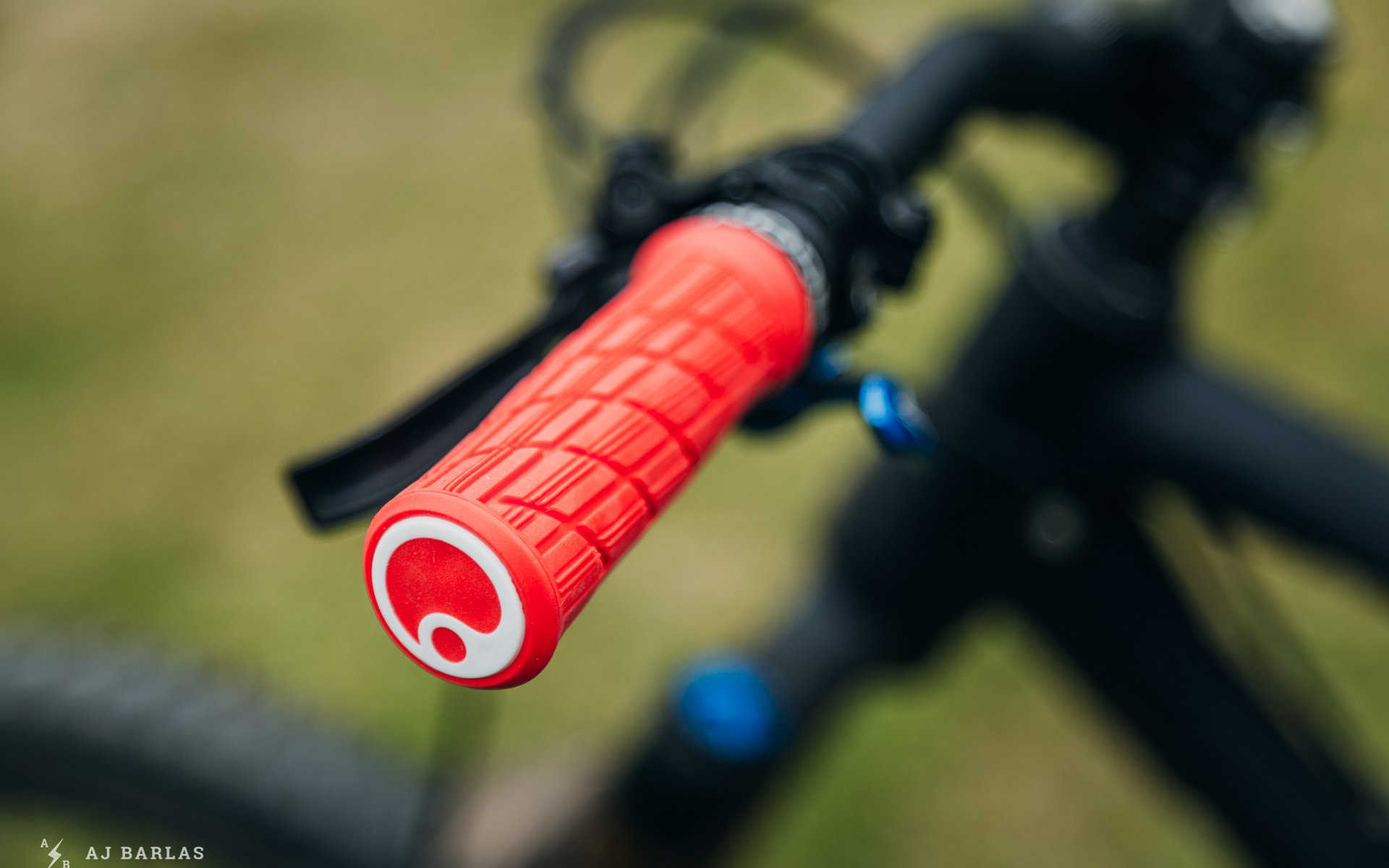 ergon fat grips