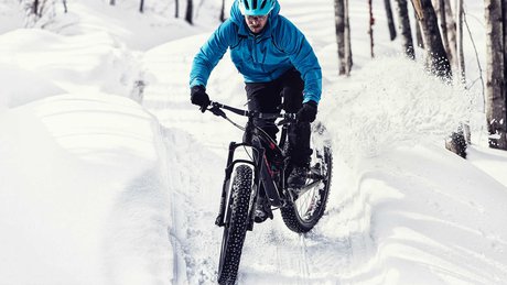 Fat bike duallie