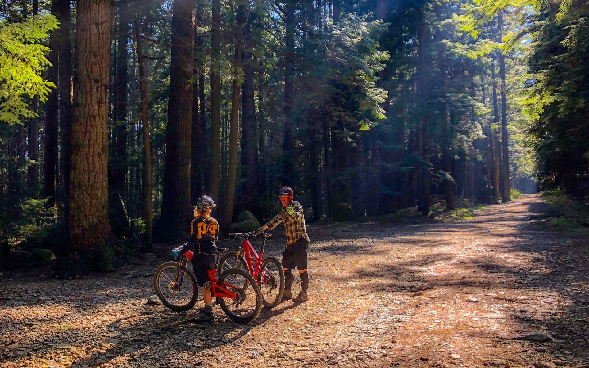 parts of mountain bike