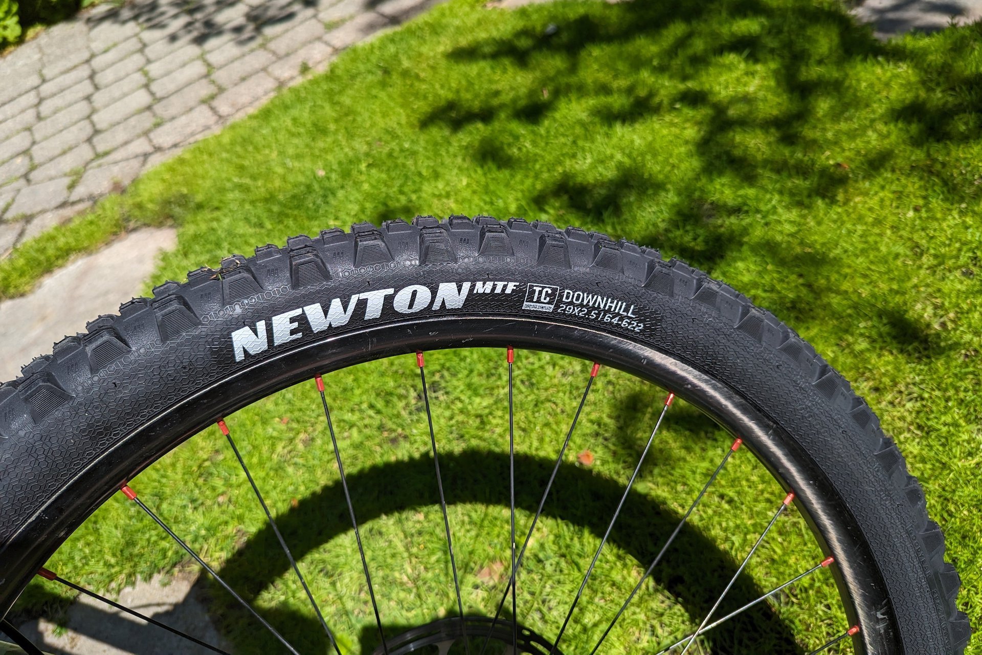 goodyear newton tires 2.pg