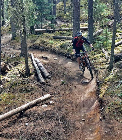 Spinal Cord Injury in Mountain Biking: What's the Risk?
